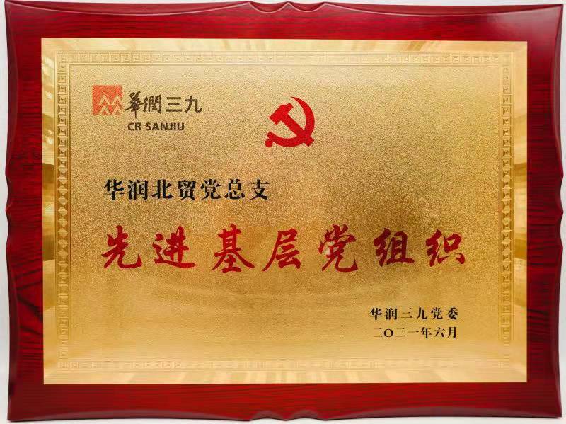 2021껪ó֧Ƚ²㵳֯